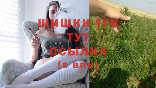 хмурый Богородск