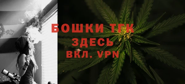 хмурый Богородск